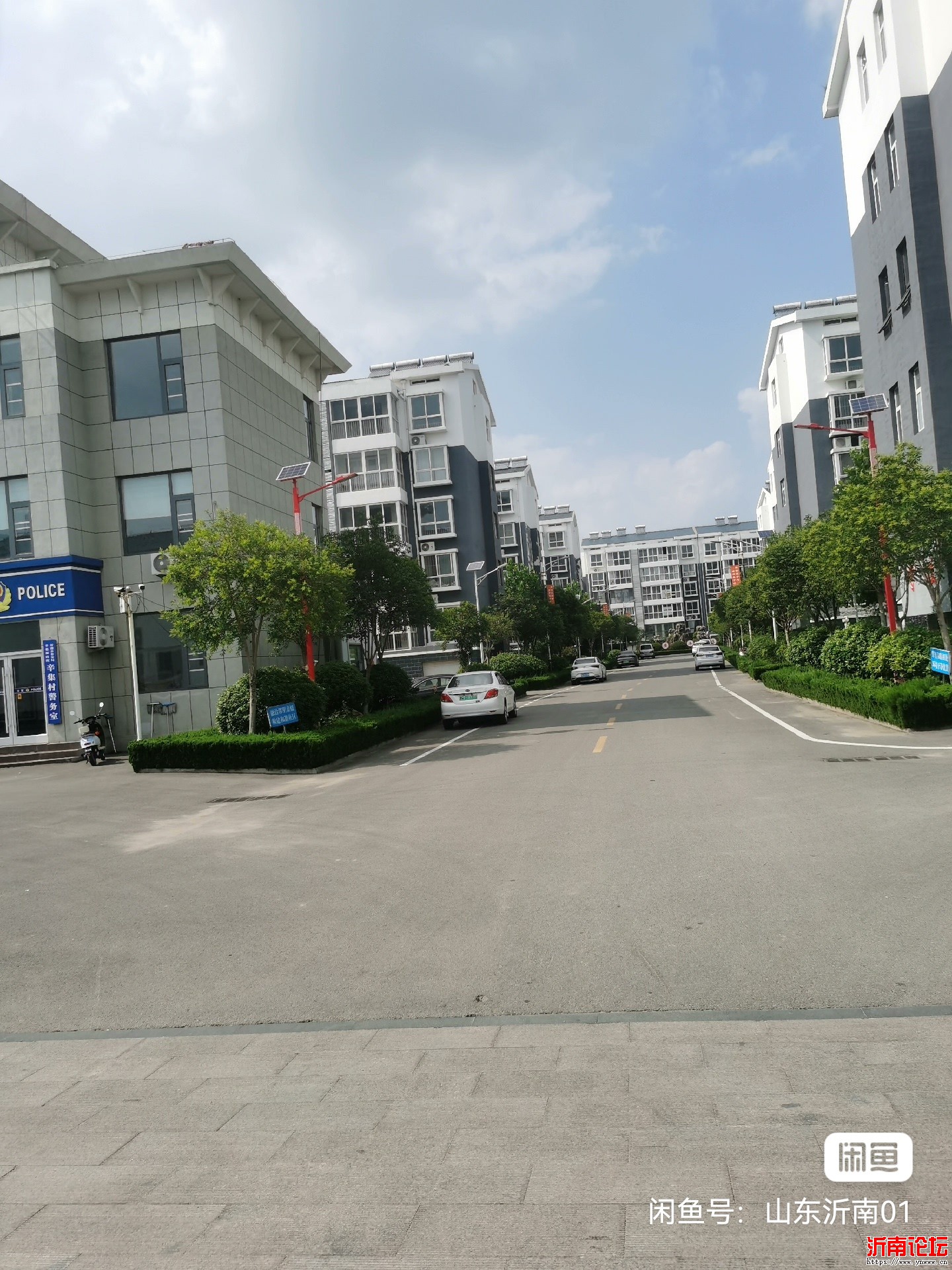 image_editor_1761775815022.jpg