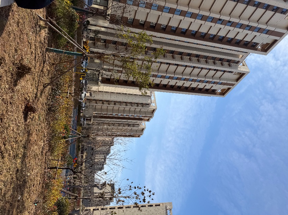 IMG_2712.jpeg